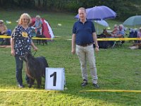 Siegerhunde